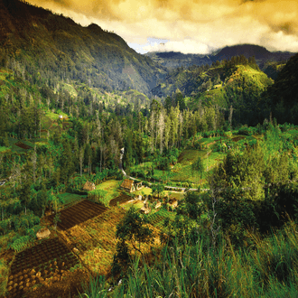 Mount Hagen